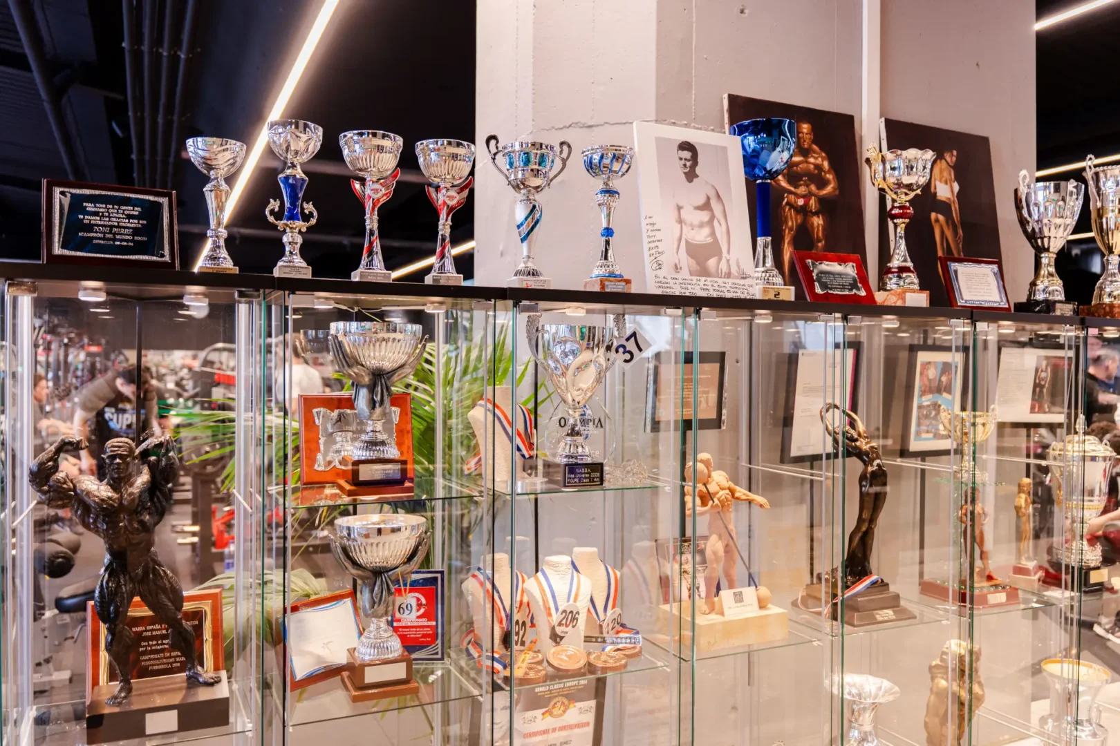 ClubCreatiu_ProfessionalGirona-15